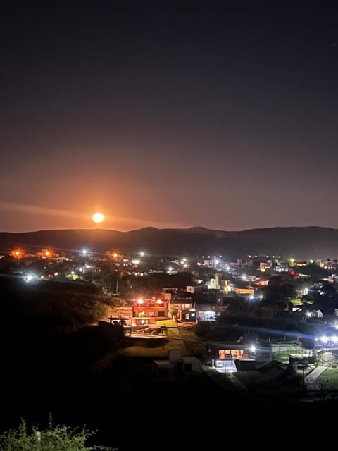 Night, Garden view