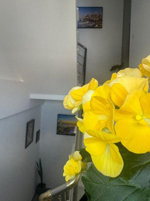 Vila Brilant Hotel in Vlorë