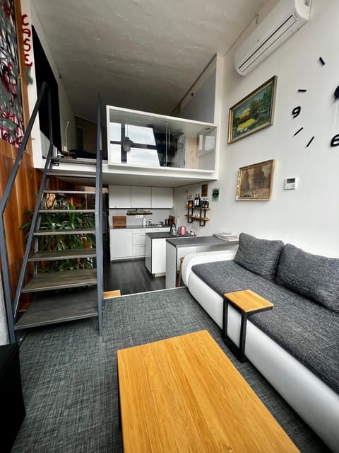 Living room, Photo of the whole room, Seating area, air conditioner