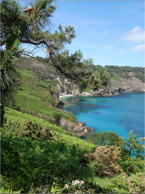 Nearby landmark, Beach