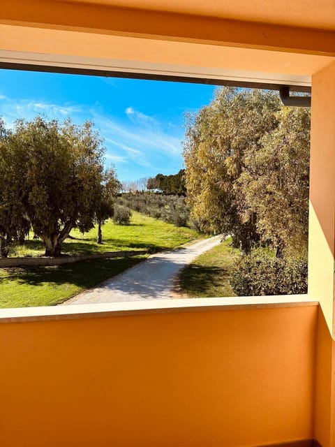 Natural landscape, Garden view