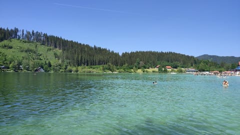 Lake view