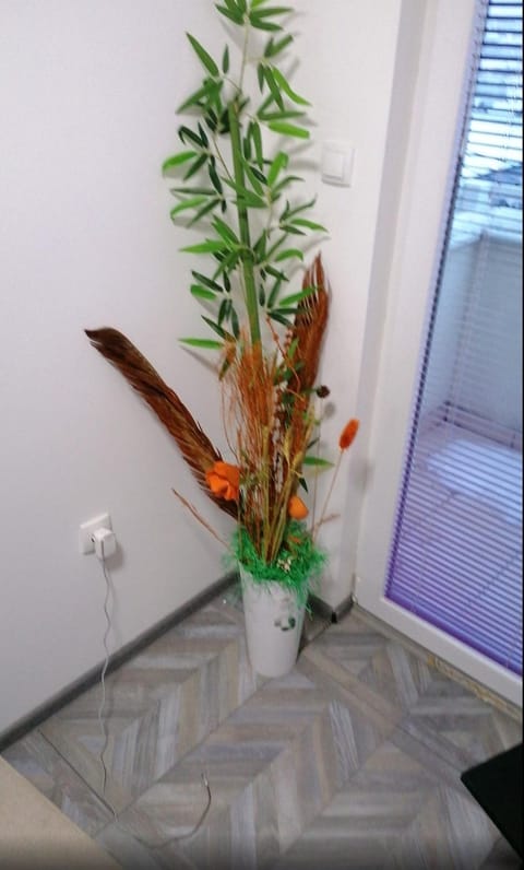 YOUR home Apartment in Belgrade