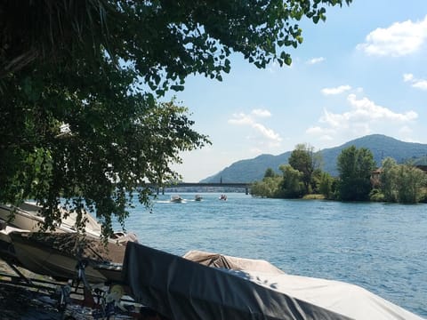 Lake view