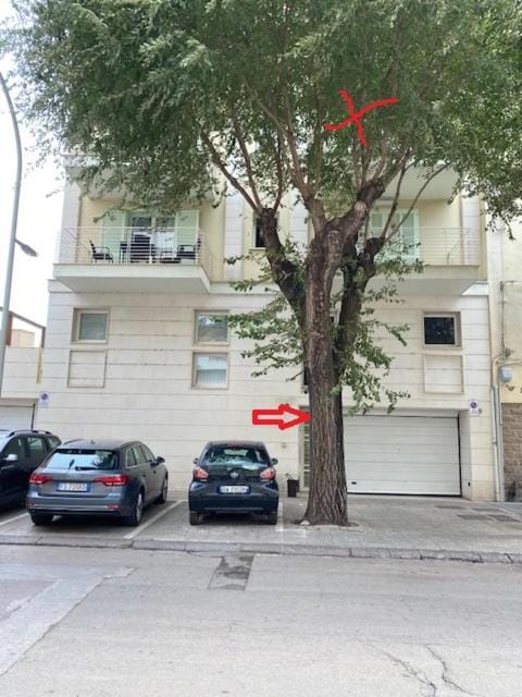 Property building, Neighbourhood, Street view, Location