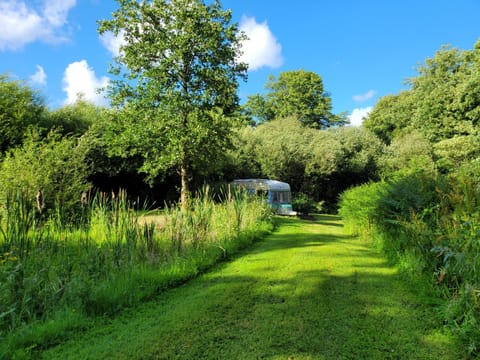 Property building, Natural landscape, Other