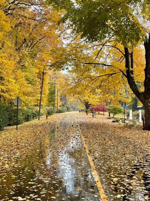 Bold Stump Cottage House in Chikaming Township