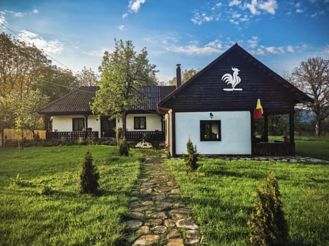 Property building, Day, Garden view