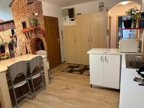 Afrodita Apartment Apartment in Timisoara