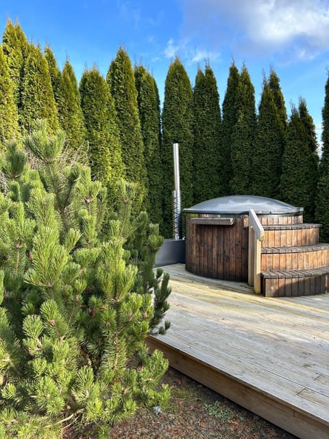 Zemene House in Lithuania