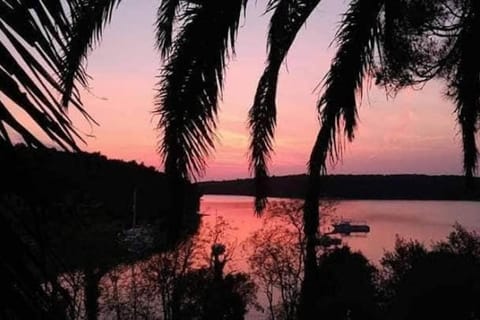 Nora, a big terrace by the sea Apartment in Banjole