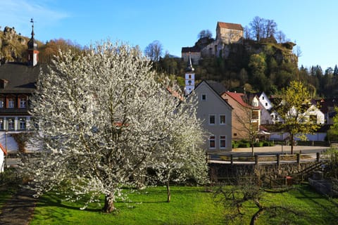 Spring, Natural landscape, Garden, Garden, Garden view