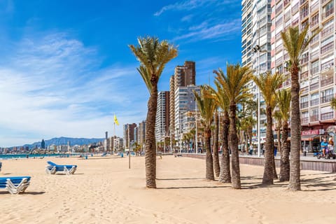 Natural landscape, Beach