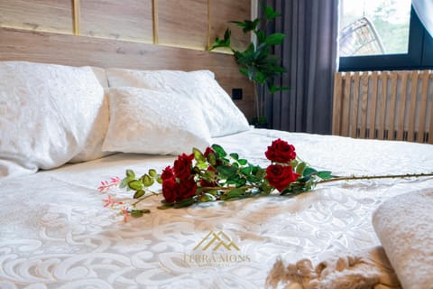 Terra Mons apartments Zlatibor Apartment in Zlatibor