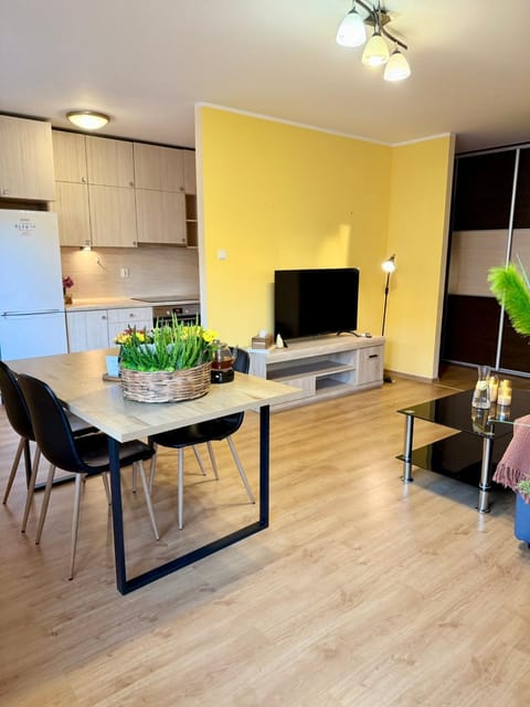 Living room, wardrobe, kitchen