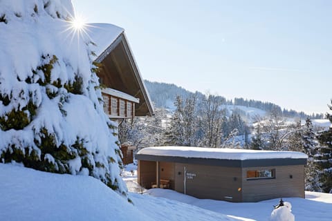 Natural landscape, Winter, Mountain view