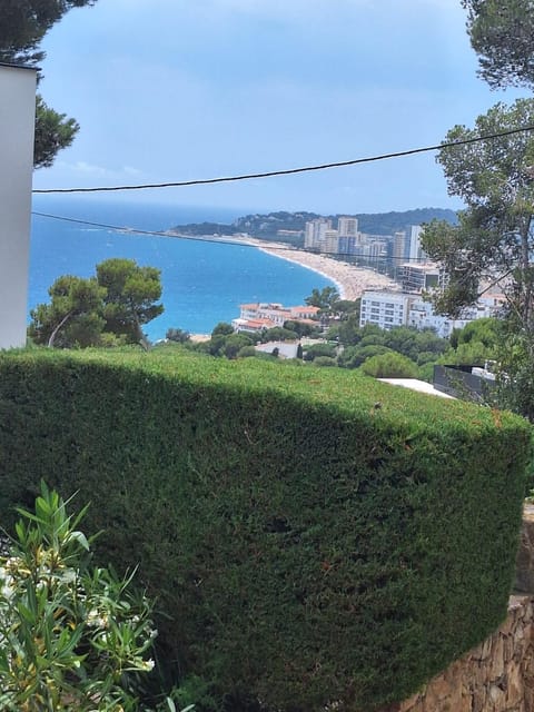 Day, Natural landscape, Beach, City view, Sea view