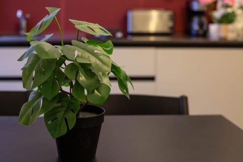Kitchen or kitchenette, Decorative detail