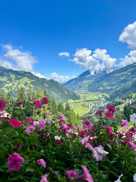 Natural landscape, Mountain view
