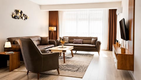 TV and multimedia, Living room