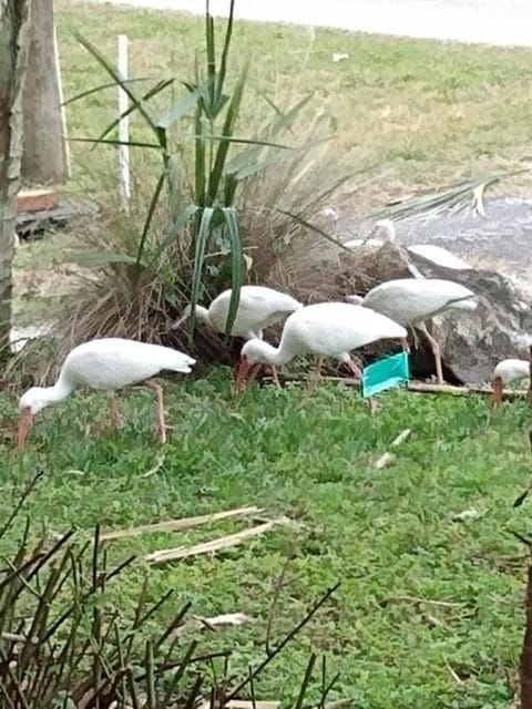 4BR Private Dock, Warm Spring Canal, Kayaks, Canoe House in Hudson