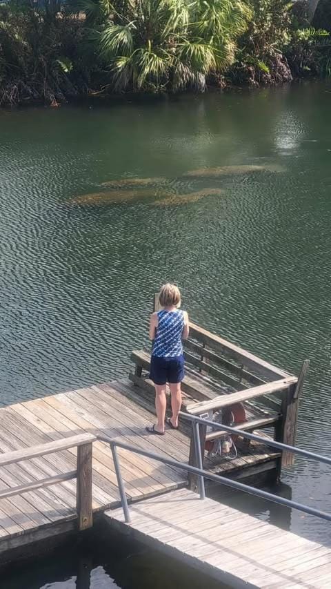 4BR Private Dock, Warm Spring Canal, Kayaks, Canoe House in Hudson