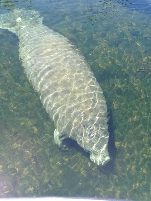 4BR Private Dock, Warm Spring Canal, Kayaks, Canoe House in Hudson