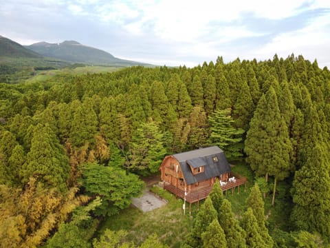 Property building, Bird's eye view