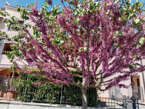 Property building, Spring, Day, Garden, Garden view