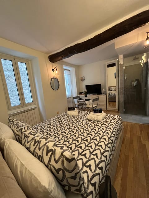 Bed, TV and multimedia, Kitchen or kitchenette, Living room, Photo of the whole room, Seating area, Bedroom