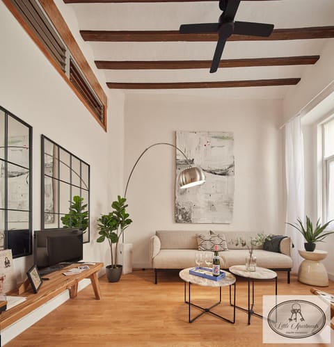 TV and multimedia, Living room, fireplace