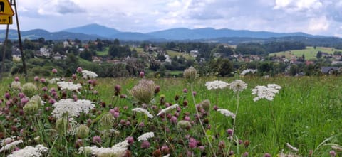 Nearby landmark, Off site, Mountain view