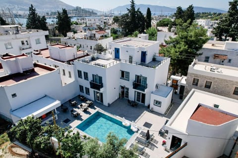 Natural landscape, Garden, Sea view, Street view, sunbed