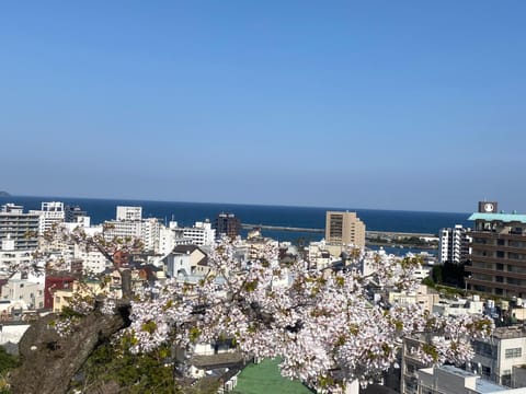 Day, City view, Sea view