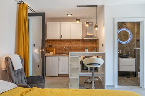 Bed, Kitchen or kitchenette, Living room, Photo of the whole room, Seating area, Dining area, Bedroom, oven, pet friendly, stove