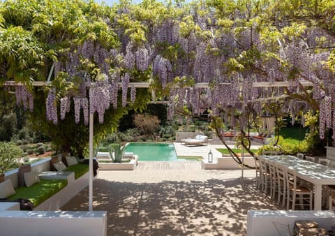 Patio, Natural landscape, Garden, Garden view, Pool view, Swimming pool