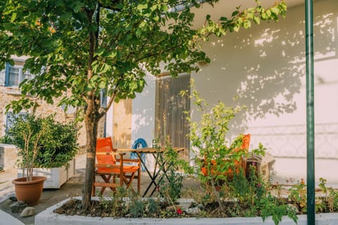 The apricot tree studio Apartment in Evros, Greece
