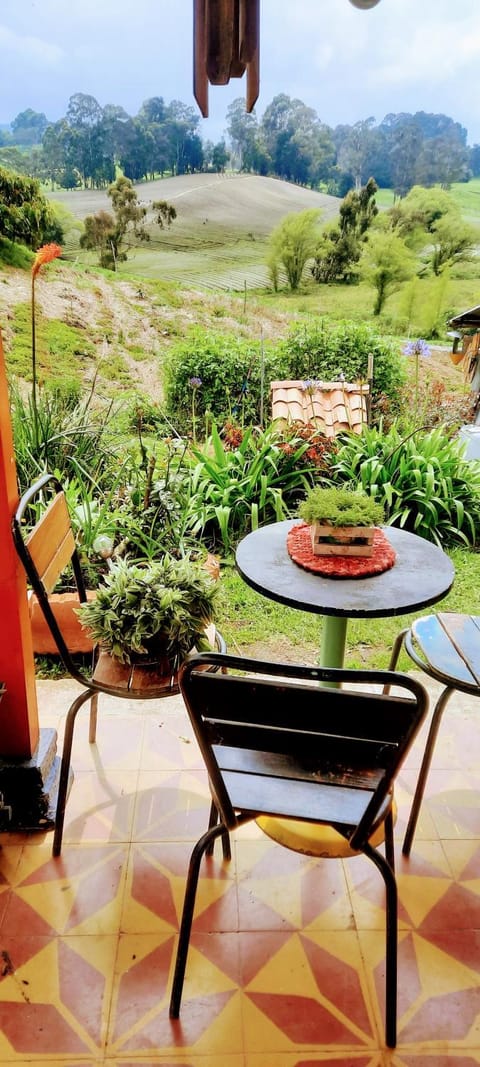 Day, Natural landscape, Garden, Dining area, Garden view, Mountain view