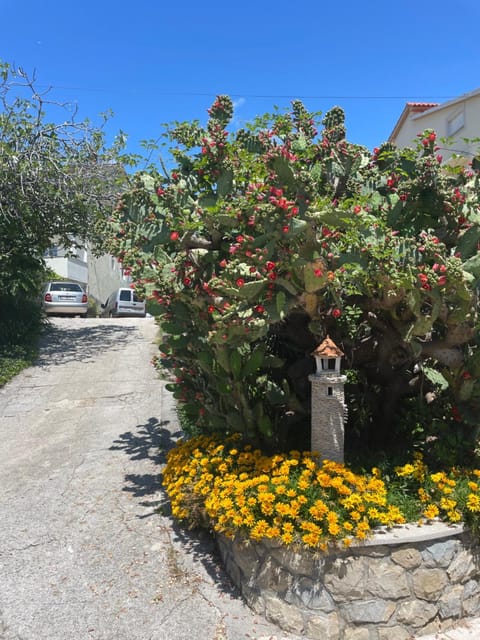Day, Garden, Garden view