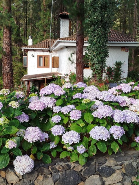 Property building, Garden view