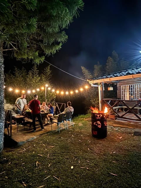 Patio, Night, Natural landscape, Garden, Garden view