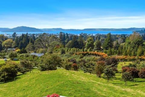 Day, Natural landscape, Garden, Garden view, Lake view