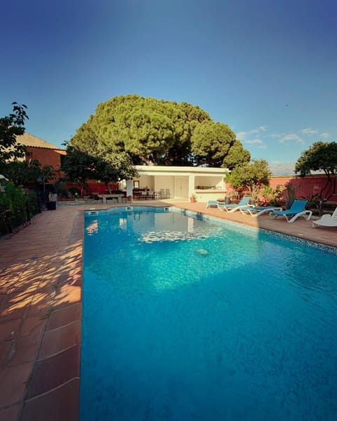 Day, Pool view, Swimming pool, sunbed