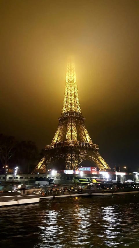 Paris 15 Expo Versailles Park Free Apartment in Issy-les-Moulineaux