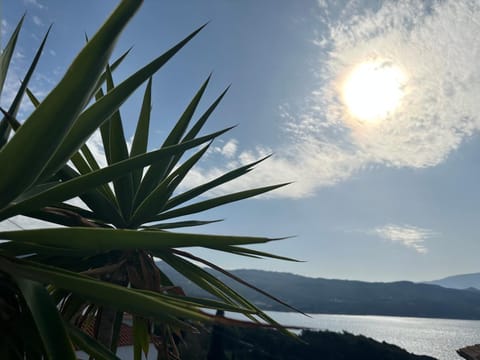 Day, Balcony/Terrace, Sea view