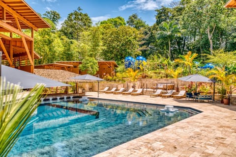Day, Garden view, Pool view, Swimming pool, sunbed