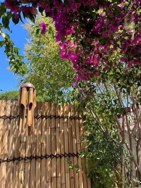 Day, Garden view