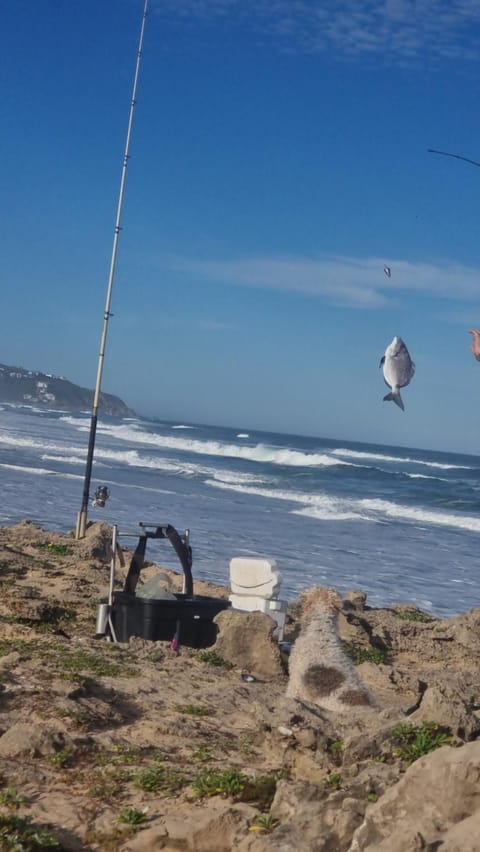 Seaside Tresure. House in Western Cape