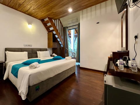 Bed, Kitchen or kitchenette, Photo of the whole room, Bedroom