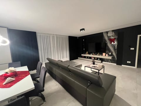 Apartament/penthouse SSARA Apartment in Timisoara